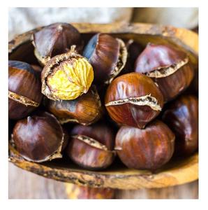 100% Top quality fresh <b>chestnuts</b>/organic chesnuts for Export - Product Image 1