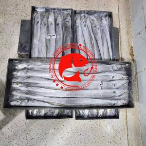 Poisson Ruban Entier Congelé Premium, Sauvage et Frais de l'Océan, Riche en Protéines, Produit de la Mer Sain, Idéal pour la Friture, la Grillade et le Barbecue - Product Image 4