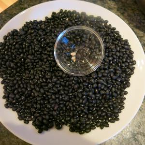 Haricots noirs de qualité supérieure, non OGM, séchés sous vide, en vrac pour l'exportation, acheteurs en gros, haute qualité - Product Image 3