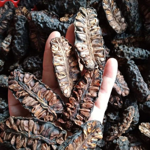 Fruits de noni séchés de qualité supérieure, entiers et coupés en deux, pour l'exportation au prix le plus bas - Product Image 6