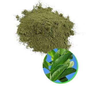 POLVO DE HOJA DE GRAVIOLA PREMIUM | NUEVA COSECHA CERTIFICADA ISO 22000 - Product Image 4