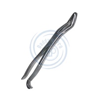 Pince d'extraction de dents de loup vétérinaire fabriquée à la main en acier inoxydable dentaire équin Instruments de haute qualité réutilisables classe I CE