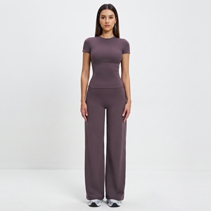 Women's Seamless Yoga Set Crew Neck Short Sleeve High Waist Full Length Solid Color Activewear Pants and <b>Top</b> 2 Piece Set - Product Image 1