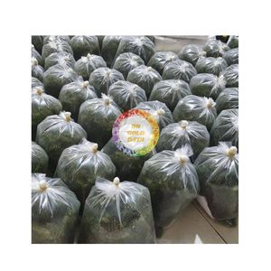Algas Verdes de Alta Calidad Frescas y Crujientes, Alga de Grado Premium a Precio de Fábrica al por Mayor - Product Image 3