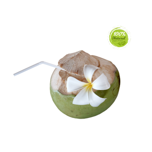 Les jeunes noix de coco boivent les meilleures boissons à base de noix de coco à base de jeunes noix de coco fraîches - Product Image 3
