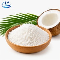 Noix de coco râpée de qualité alimentaire, riche en matières grasses (60-65%), pour biscuits, gâteaux, chocolat et pâtisseries
