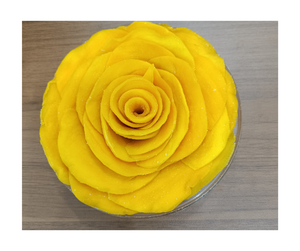 Mango seco Premium de Vietnam, aperitivo tropical agrio y dulce perfecto para batidos y suministro de exportación - Product Image 6