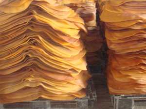 CAOUTCHOUC NATUREL SVR CV60 ORIGINE VIETNAM Grade moulage - Product Image 5