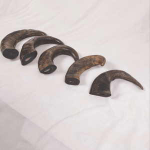 Top Dog Chews Agua natural Buffalo Bully Cuernos Perro Trata Hueso Ecológico Animal Estilo Pulido Técnica Precio bajo India - Product Image 1