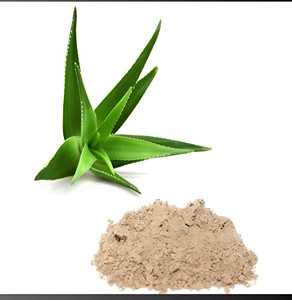 100% extrait d'aloe vera naturel pur 95% aloe-émodine qualité supérieure extrait de plante à base de plantes de qualité alimentaire sac de poudre emballage de tambour - Product Image 4