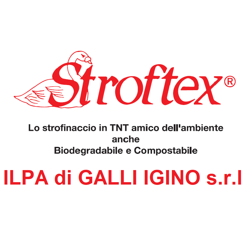 ILPA di Galli Igino srl logo