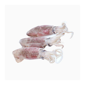 Calamar entero congelado de alta calidad, procedente de comercio al por mayor a precios competitivos - Product Image 2