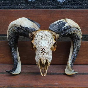 รูปปั้นควายกระทิงและกระโหลกแกะที่สวยงามแกะสลักด้วยมือมีเขาอันงดงามผนังเก๋ไก๋และการตกแต่งที่โดดเด่นทางวัฒนธรรม - Product Image 1