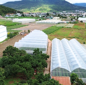 High Quality <b>Greenhouse</b> Film For Flower Cultivation Agro-tourism flower farms combined with homestays wholesale 2025 - Product Image 5