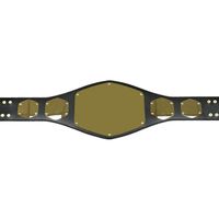 Ceintures de championnat personnalisées plaquées or pour MMA, boxe, jiu-jitsu, karaté, judo, grappling, taekwondo, en cuir véritable, réglables