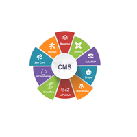 Service de gestion de contenu très demandé, dernière technologie de programmation et de développement, prix de gros disponibles, exportateur indien