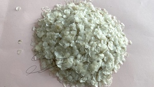 Écailles de poisson blanches en vrac, séchées au soleil, propres et décalciifiées, pour Tilapia et Seabass, prêtes pour le blanchiment à l'oxygène, prêtes à être expédiées sur le marché - Product Image 5