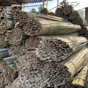 ไม้ไผ่ธรรมชาติแบบแยกราก ตัดครึ่ง สำหรับงานเกษตร งานสวน และงานกลางแจ้ง - Product Image 5