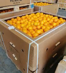 ส้มสดเพื่อสุขภาพวาเลนเซียสำหรับขายในราคาฟาร์ม - Product Image 6