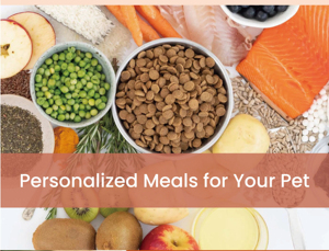 อาหารแห้งแช่แข็งแบบแห้งออร์แกนิกสำหรับแมวสำหรับลูกแมวเพื่อเพิ่มกล้ามเนื้อสำหรับสัตว์เลี้ยงอาหารหลัก-กลิ่นไก่งวง - Product Image 5