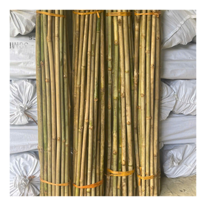 Tubes en bambou, produit très vendu de 99D, adapté à la construction, à la décoration, aux cadres de meubles et aux projets à grande échelle - Product Image 1