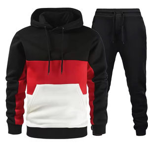 Trajes Deportivos con Capucha para Hombre, de Invierno, Secado Rápido, Transpirables, Ligeros, con Logotipo Personalizado, Colores Combinados, Fabricados por Isha Industry - Product Image 2