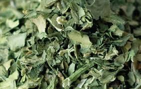 ORGANIC SPINACH / DETOX SUPPORT / CLEAN LABEL / WHOLE <b>PLANT</b> - Product Image 3