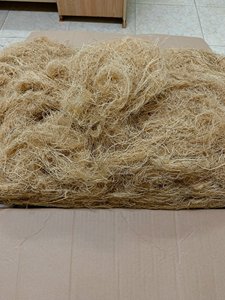 Gracilaria seca/Algas Gracilaria de Vietnam/Sra. Kate - Product Image 2