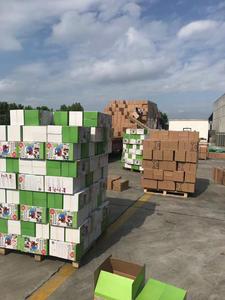 Réservoir d'hélium Party Factory pour jusqu'à 50 ballons en latex cylindre d'hélium 14.1 à vendre avec livraison gratuite aux états-unis europe australie - Product Image 5