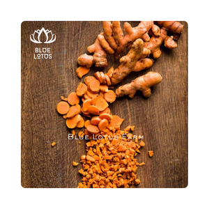 ขมิ้นอบแห้งเกรดสูงที่อุดมไปด้วยรสและกลิ่นหอมของขมิ้นชันเหมาะสำหรับการผสมอาหารและชาแบบดั้งเดิม - Product Image 1