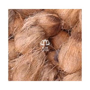 Coque de noix de coco mature prête à être expédiée pour la production de biocarburant durable et un matériau sain pour un plat de dessert authentique - Product Image 1