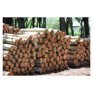 Bûches de palissandre Sonokeling vente en gros convenant aux travaux décoratifs - Product Image 4