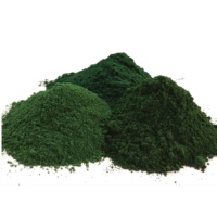Pigmen besi oksida green5605 untuk coating dan melukis bata semen dan aspal