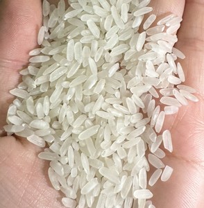 Riz Calrose moyen premium du Vietnam pour sushi - Product Image 5
