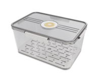 Boîte de rangement hermétique en plastique pour réfrigérateur avec plateau de drainage, sans BPA, pour la conservation des aliments, fabriquée en Chine