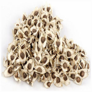 GRAINES DE MORINGA EN GROS DE HAUTE QUALITÉ ET À PRIX CONCURRENTIEL - Product Image 6