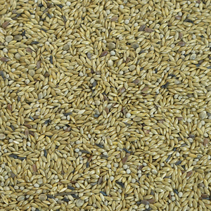 Qualité supérieure 20KG Pet Food Canarios Especial Aviario Pluma Mélange Sans Avoine Couleur Supplément Canaris - Product Image 2