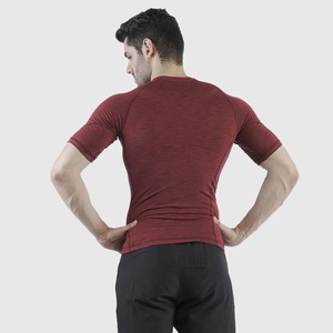 2025 camisetas deportivas de compresión personalizadas para hombres, camisetas musculosas de secado rápido, camisetas 100% de algodón con MOQ bajo, camisetas de manga corta de gran tamaño - Product Image 2