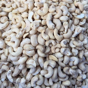 Noix de cajou W180 W240 W320 Noyaux de noix de cajou SANTIGO Service personnalisé disponible Noix de cajou en gros - Product Image 1