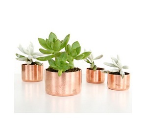 Lot de 3 jardinières en cuivre pur de qualité supérieure avec des bracelets à la mode au design classique au prix - Product Image 3