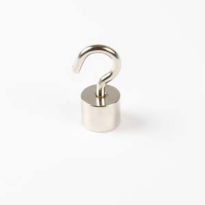 Magnete da soffitto con vite a gancio Ø20x40mm - Product Image 1