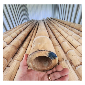 ¡Gran venta! Poste de bambú impermeable seco que hace muebles, cerca, techo, decoración al aire libre, poste de bambú con alta calidad - Product Image 3