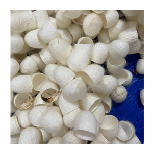 Coton Cocon en soie léger et durable pour les vêtements - Product Image 2