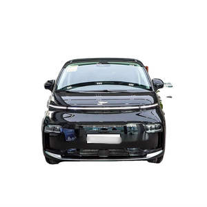 Nouvelle gamme de voitures à essence de luxe LEVC London Electric Vehicle Company, modèle 2025, autonomie 570 km, édition Premium, fournie par la série de véhicules électriques MPV à énergie nouvelle. - Product Image 1