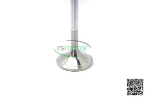 Válvula de entrada de piezas originales de Venta caliente MWM RS-12304754 adecuada para TBG 604 ; TBG 620 ; TCG 2020 ; CG 170 - Product Image 4