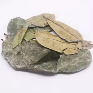 Feuilles de corossol séchées biologiques, Guanabana, thé pour femmes, feuilles de corossol fraîchement séchées - Product Image 6