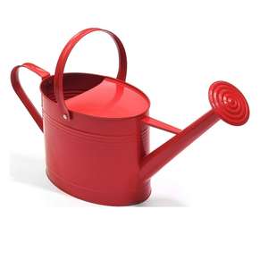 Regadera de metal funcional diseñada para facilitar su manejo, que proporciona una salida de agua constante para jardinería en interiores y exteriores. - Product Image 5