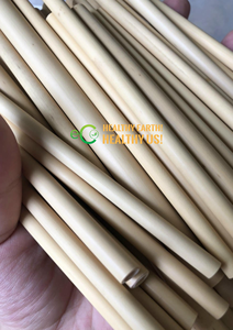 ¡VENTA CALIENTE 2025! Pajitas de bambú natural biodegradables, pajitas de bambú, logotipo personalizado de ECO2GO - Product Image 3