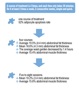 Tecnología Más Reciente de 2025 para Pérdida de Peso, Moldeamiento Corporal, Quema de Grasa, No Invasivo, Seguro y Efectivo - Product Image 2