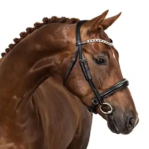 2018-2019 Nouvel équipement en cuir de licou de bride de cheval de qualité pour la vente en gros de courses équestres et hippiques - Product Image 1